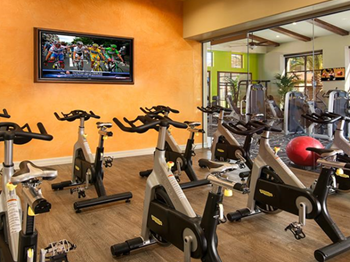 Cycling studio
